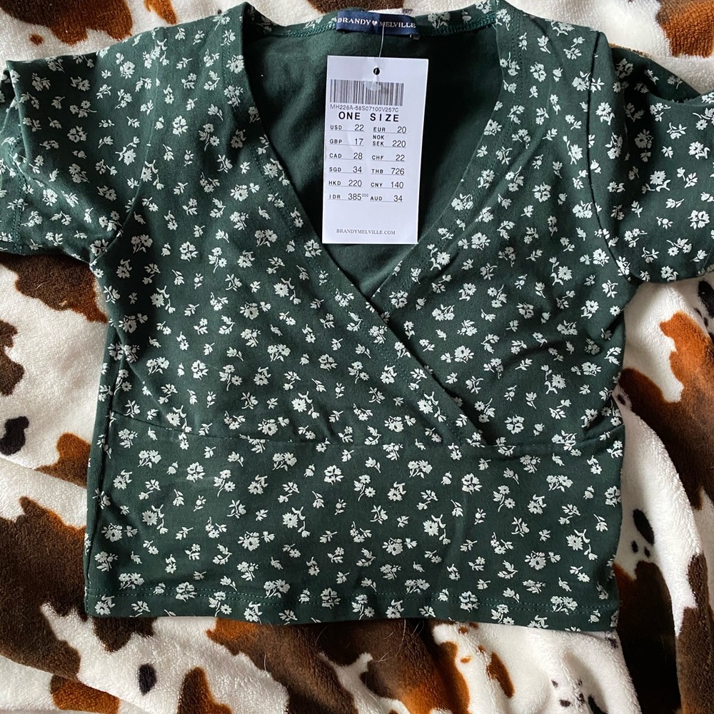 brandy melville amara top